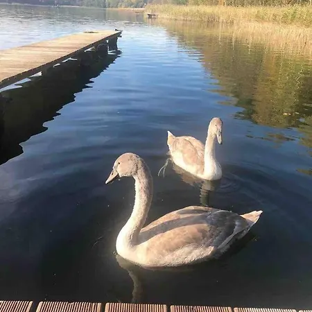 Lisa Grune Idylle Im Wald Direkt Am Apartment Wendisch Rietz